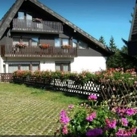 Апартаменты Ferienhaus-schoenwald Im Herzen Des Schwarzwaldes 2zimmer-wohnung & Terrasse & Whirlpool App16 Шёнвальд