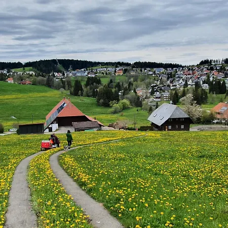 Ferienhaus-schoenwald Im Herzen Des Schwarzwaldes 2zimmer-wohnung & Terrasse & Whirlpool App16 Lejlighed