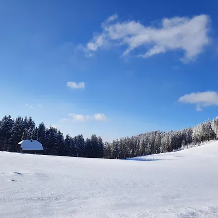 Ferienhaus-schoenwald Im Herzen Des Schwarzwaldes 2zimmer-wohnung & Terrasse & Whirlpool App16 *