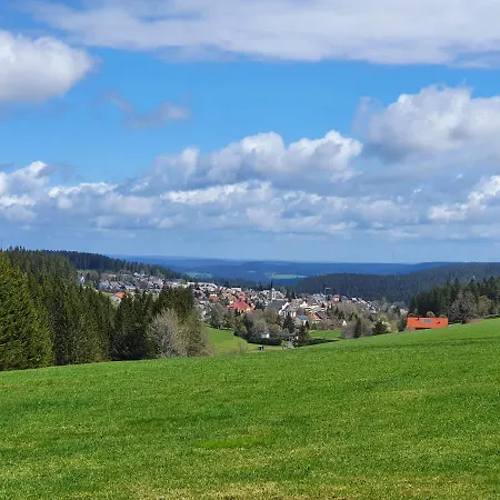 公寓 Ferienhaus-schoenwald Im Herzen Des Schwarzwaldes 2zimmer-wohnung & Terrasse & Whirlpool App16 Schönwalde
