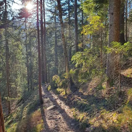 Ferienhaus-schoenwald Im Herzen Des Schwarzwaldes 2zimmer-wohnung & Terrasse & Whirlpool App16 Schoenwald im Schwarzwald