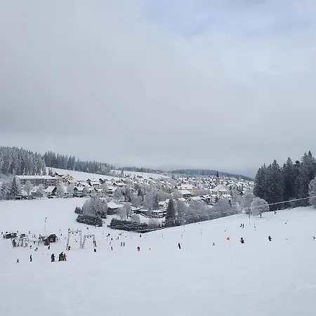 Апартаменты Ferienhaus-schoenwald Im Herzen Des Schwarzwaldes 2zimmer-wohnung & Terrasse & Whirlpool App16